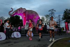 BIB: 
                            <button type="button" onclick="openModal(26529590)" class="btn btn-primary btn-sm float-right btn-popup" data-toggle="modal" data-target=".modal-high-quality">
                        <i class="fas fa-shopping-cart"></i> Add to Cart
                    </button>
                                            <button type="button" onclick="isThisMe(26529590, true)" class="btn btn-success btn-sm float-right btn-popup btn-isme hidden" data-toggle="tooltip" data-placement="bottom" title="นี่คือรูปของคุณใช่ไหม คลิกที่นี่เพื่อเอาเข้าอัลบั้ม">
                        <i class="fas fa-plus"></i> Add to album
                    </button>
                    <button type="button" onclick="isThisMe(26529590, false)" class="btn btn-warning btn-sm float-right btn-popup btn-isnotme hidden">
                        <i class="fas fa-ban"></i> Remove from album
                    </button>